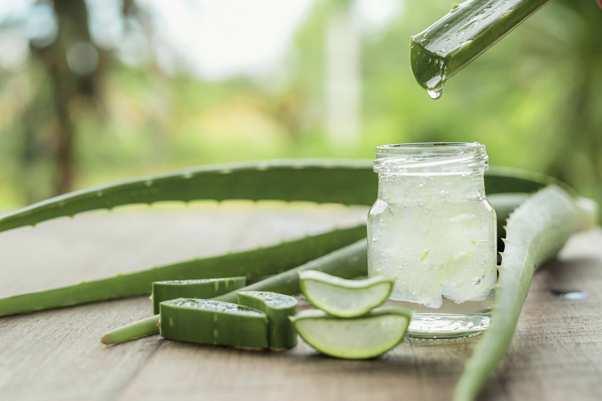 Aloe vera leaf and gel being used to treat psoriasis lesions
