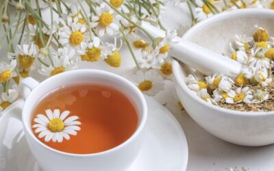 5 best herbal teas to relieve bloating