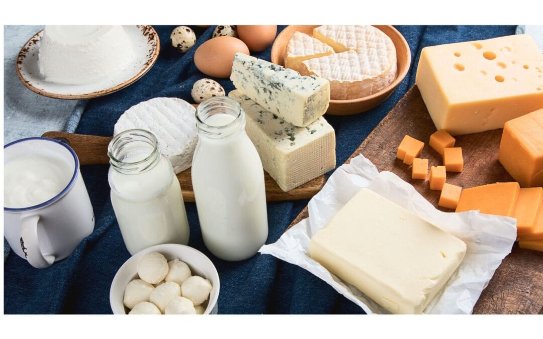 dairy foods milk and cheese