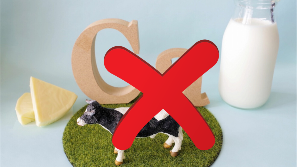 Best nondairy sources of calcium A list of the highest sources