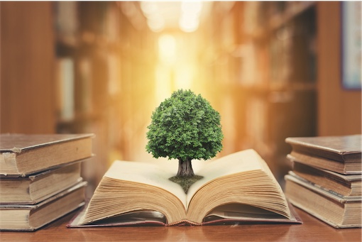 Open book with tree of knowledge 