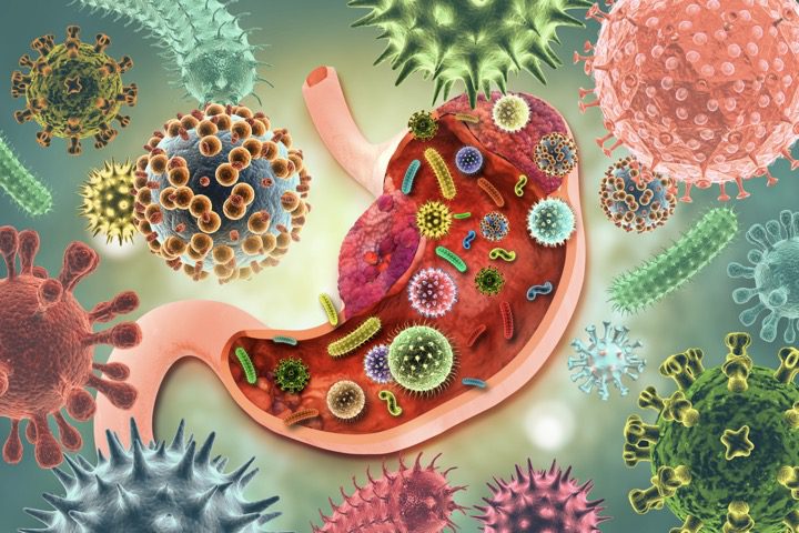 The role of gut health in Long Covid recovery