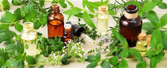 naturopath and herbal medicine in brisbane for immune health