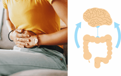 IBS, Stress and Your Gut: Understanding the Gut–Brain Axis