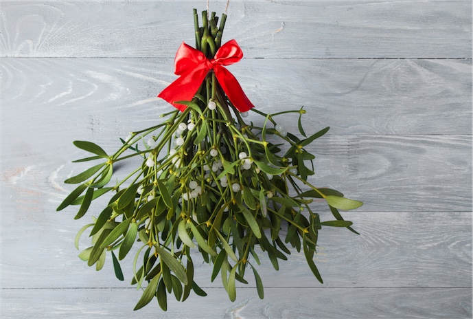 Meet the herb: Mistletoe