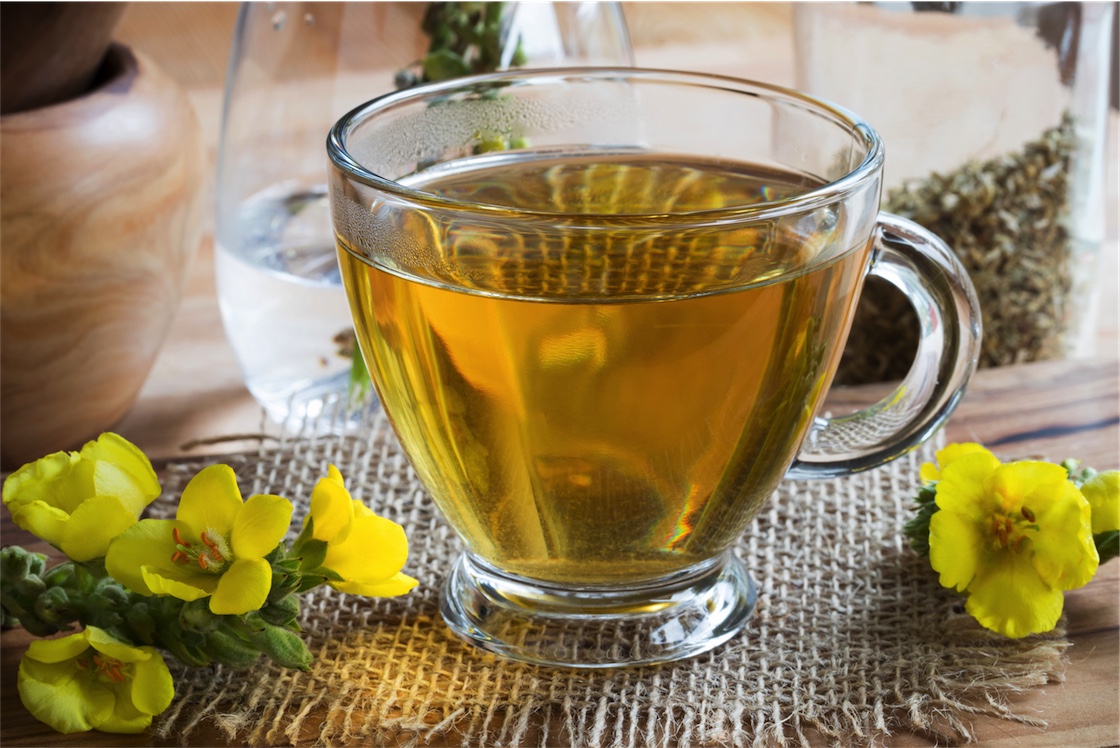 herbal lung tonics, mullein tea