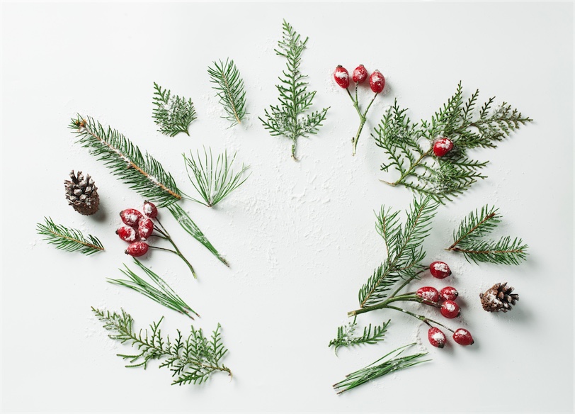 10 natural essentials you need to survive the silly season