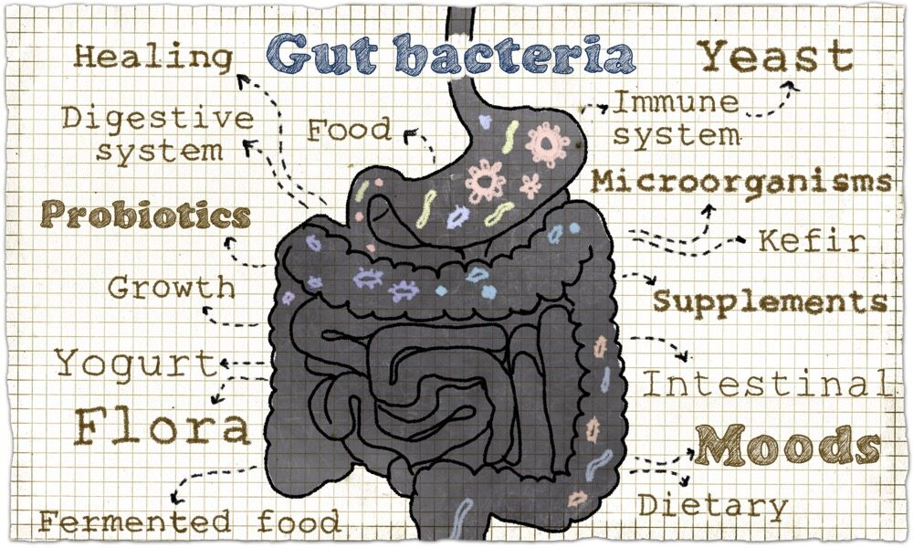 How can a Naturopath help with gut health?