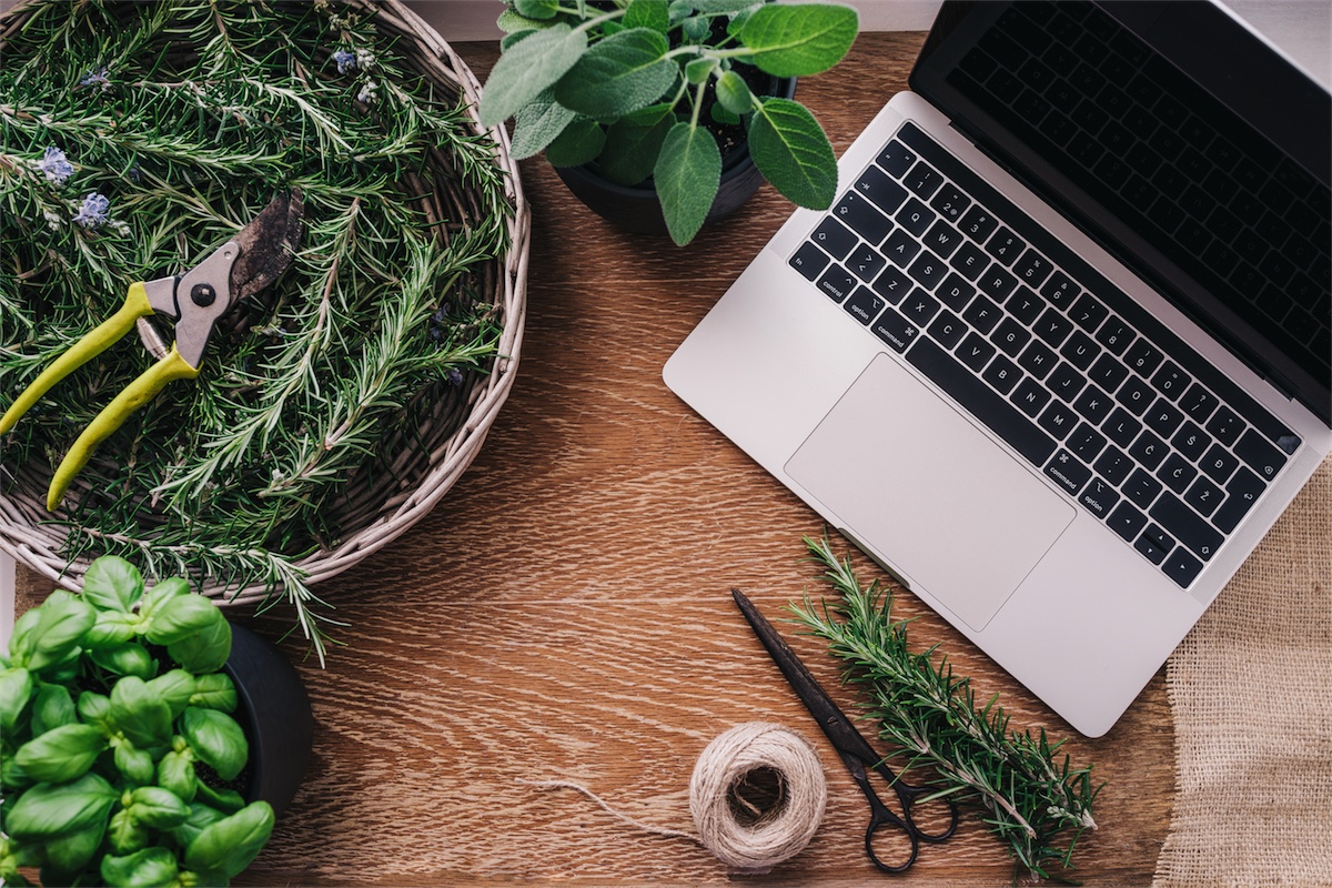 laptop and rosemary online appointments