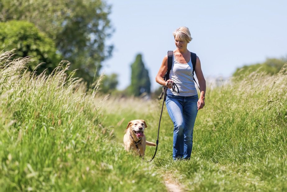 Middle aged woman dressed in jeans and wearing a back pack walking a golden retriever on a grassy lane.