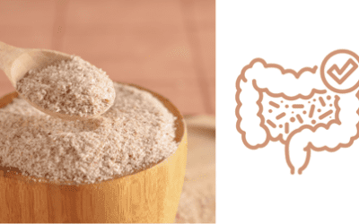 Prebiotic Fibre Explained: How to Choose the Right One for Your Gut