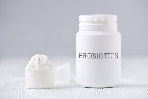 Probiotics and inulin powder