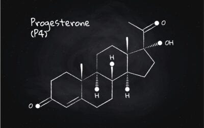 The role of progesterone in acne