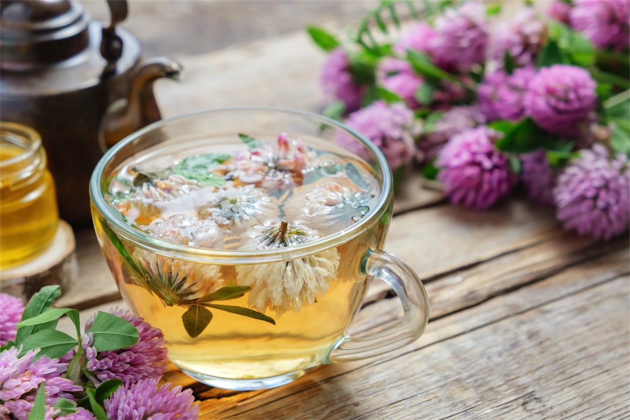 red clover herbal tea, naturopath north sydney, menopause
