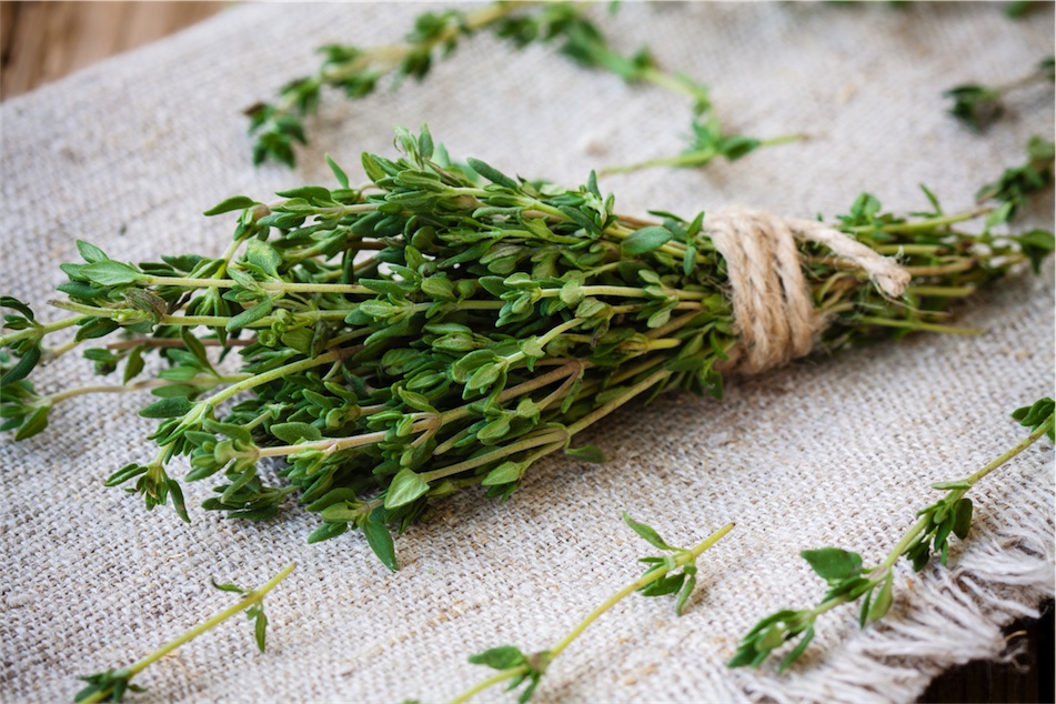 thyme gargle for sore throat