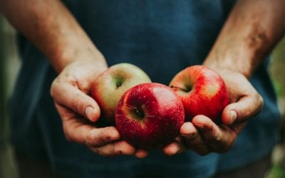 Apples – a digestive superfood