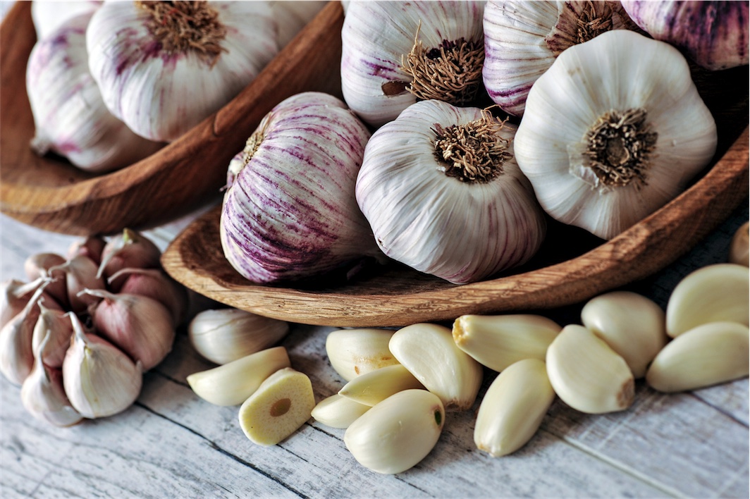 garlic for respiratory infections