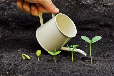 Discovery call watering can with sprouting plants