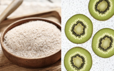 A guide to choosing the right type of fibre for skin and gut conditions