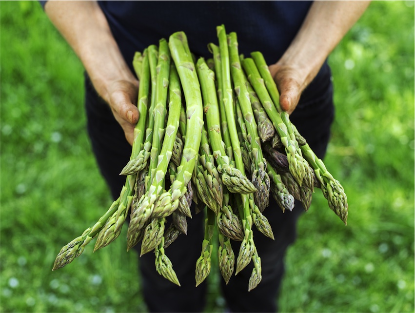 health benefits of asparagus for acne